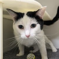 Photo of ☕ Lorraine (Lori) 5739 ☕