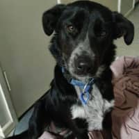 Photo of Betty