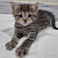 Photo of Winnie
