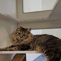 Photo of Leon