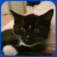 Photo of Jay Jay
