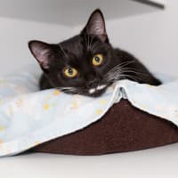 Photo of Tuna