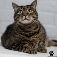 Photo of Turbo