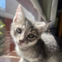 Photo of Roll
