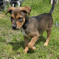 Photo of Princess Bubblegum