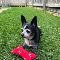 Photo of Bonnie Parker & Clyde Barrow