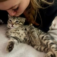 Photo of Pegi (Aka Tent Peg)