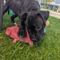 Photo of Zeus