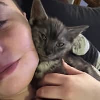 Photo of Jinu **2nd Chance Cat Rescue**