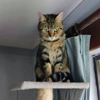 Photo of Charlie
