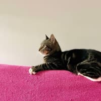 Photo of Sumy