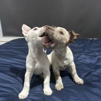 Photo of Gyn (Was Luna)