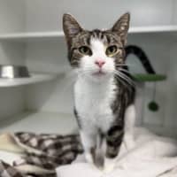 Photo of Delilah