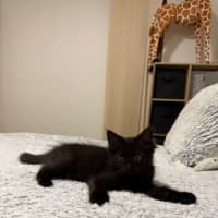 Photo of Minnie & Mickey