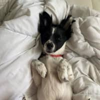 Photo of Sam Jablonski