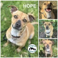 Photo of Hope 