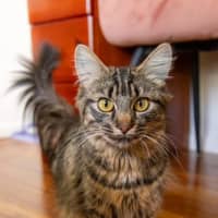 Photo of Arya