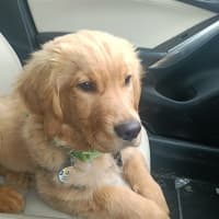 Photo of Harry