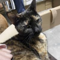 Photo of Kallie 🍃💕