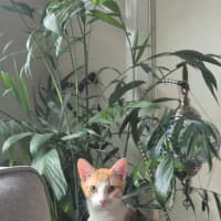 Photo of Jack