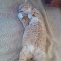 Photo of Elio