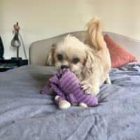 Photo of Annie