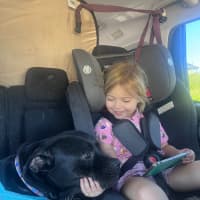 Photo of Huckleberry 