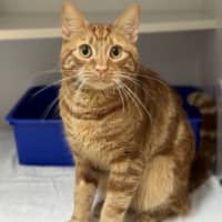 Photo of Clyde