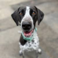Photo of Lucy