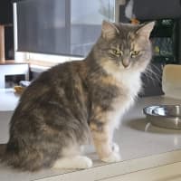 Photo of Leana