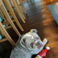 Photo of Angel