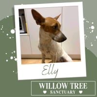 Photo of Elly