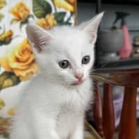 Photo of Mimi