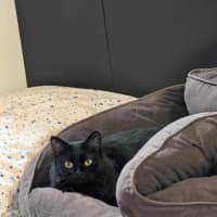 Photo of Thunder And Storm