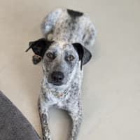 Photo of 🎀 Monica 5585 🎀