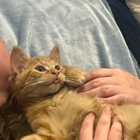 Photo of Artie