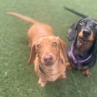 Photo of Tessa Young