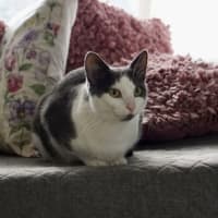 Photo of Rebecca