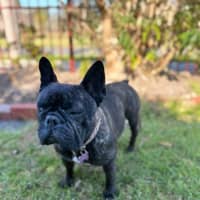Photo of Farley