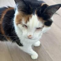 Photo of Evie