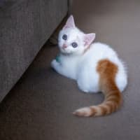 Photo of Holden