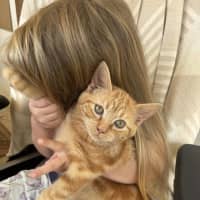 Photo of Mango