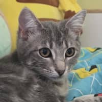 Photo of Sooty