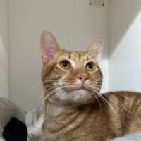 Photo of Sammy