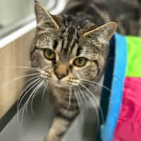 Photo of 🥝 Bindi 5396 🥝