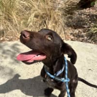 Photo of 🥯 Bagel 5769 🥯