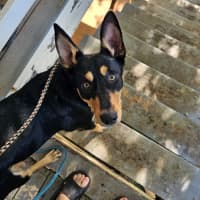 Photo of Narla