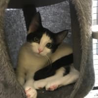 Photo of Mickey And Snow White