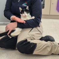 Photo of Gadget (0196)