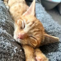 Photo of Tom   Meet Me 10/10 Info In Bio